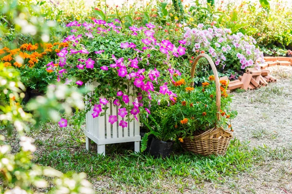 Cozy home flower garden on summer — Stock Photo, Image