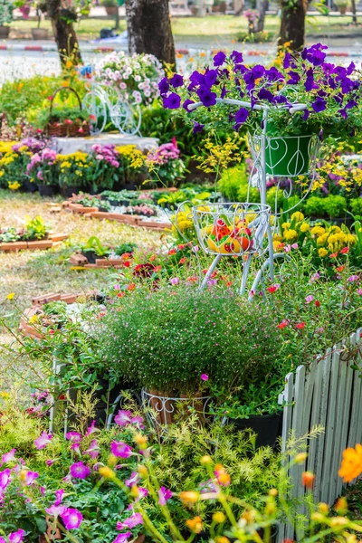 In home cozy garden on summer. — Stock Photo, Image