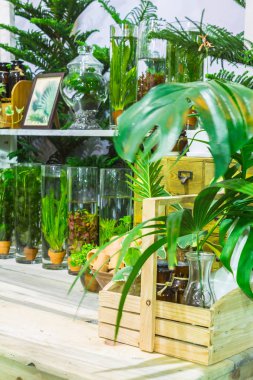 Rahatlatıcı rahat Bahçe alanında.