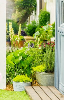 Rahatlatıcı rahat ev alanında.