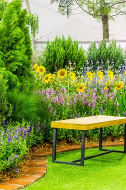 Rahatlatıcı rahat Bahçe alanında.