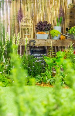 Rahatlatıcı rahat Bahçe alanında.