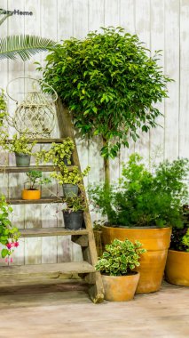 Rahatlatıcı rahat ev alanında.