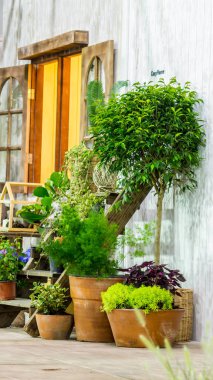 Rahatlatıcı rahat ev alanında.