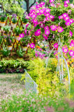 Yazları ev rahat bahçede.