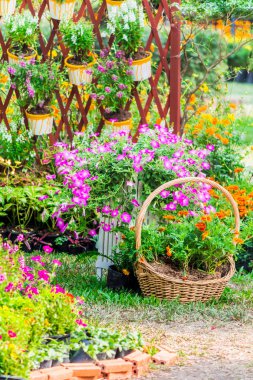 Yaz rahat ev Çiçek Bahçesi