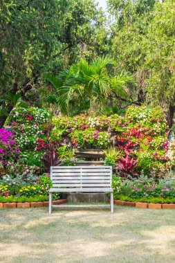 Rahat çiçek bahçesi beyaz sandalye.