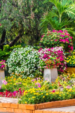 Yaz rahat ev Çiçek Bahçesi