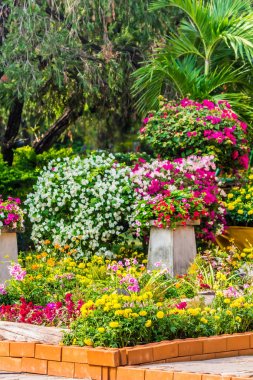 Yaz rahat ev Çiçek Bahçesi