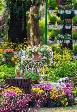 Yazları ev rahat bahçede.