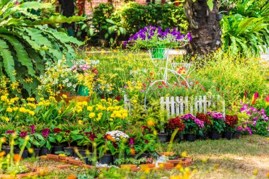 Yazları ev rahat bahçede.