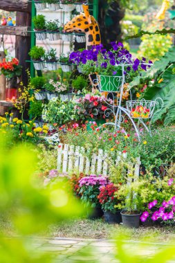 Yazları ev rahat bahçede.
