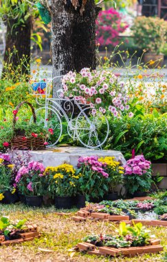 Yazları ev rahat bahçede.