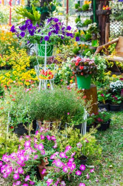 Yazları ev rahat bahçede.