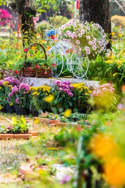 Yazları ev rahat bahçede.