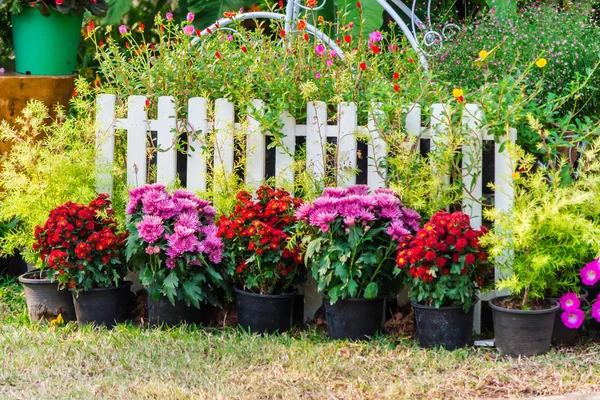 Vita staket och blommor i trädgården på sommaren — Stockfoto