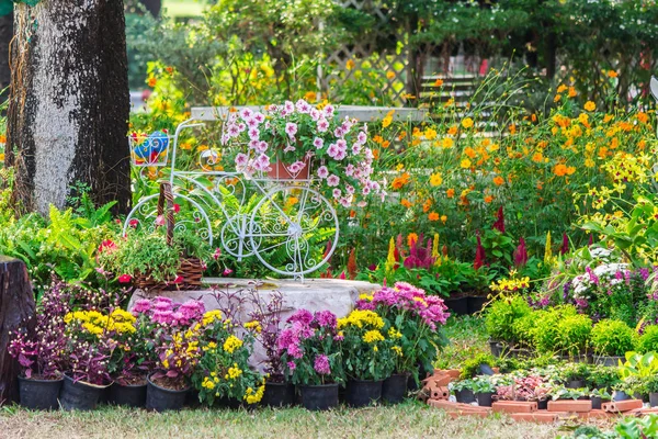 In casa accogliente giardino in estate . — Foto Stock