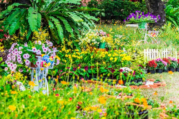 Dans le jardin confortable à la maison en été . — Photo