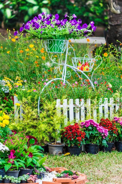 In casa accogliente giardino in estate . — Foto Stock