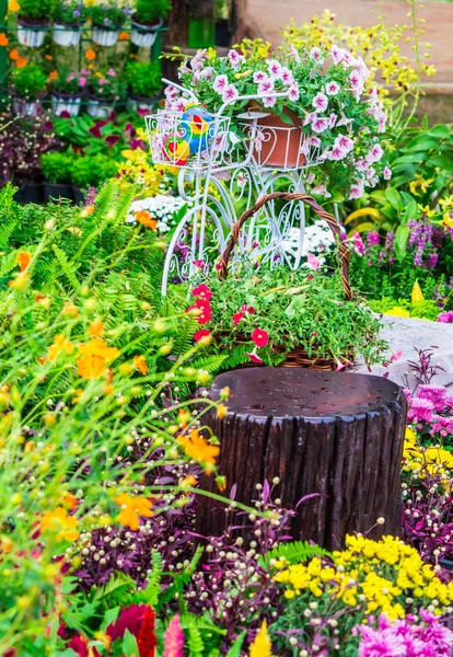 In casa accogliente giardino in estate . — Foto Stock