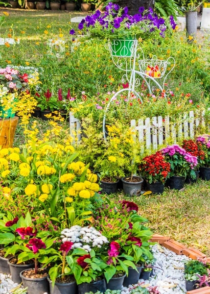 Em casa jardim acolhedor no verão . — Fotografia de Stock