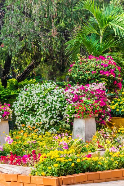 Jardin de fleurs maison confortable sur l'été — Photo