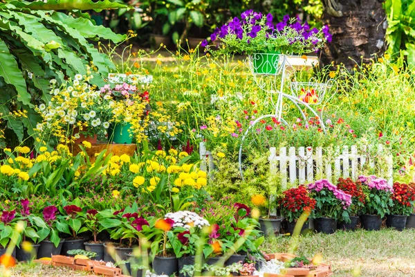 Yazları ev rahat bahçede.