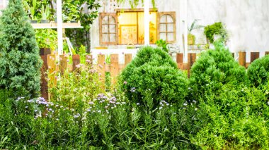 Rahatlatıcı rahat ev alanında.