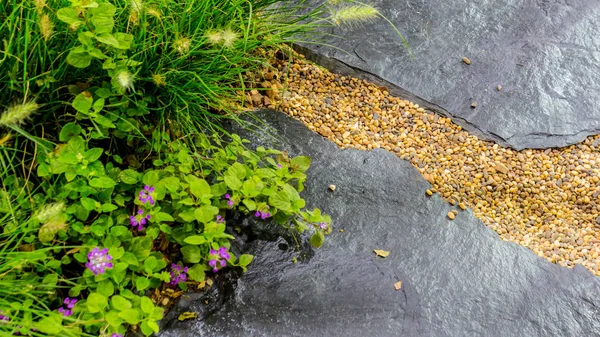 Stenen traject in tuin. — Stockfoto