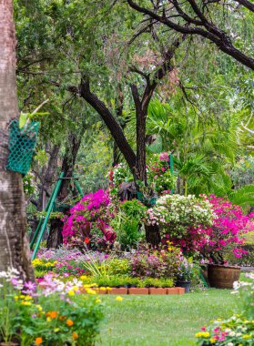 Yaz rahat ev Bahçe.