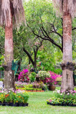 Yaz rahat ev Bahçe.