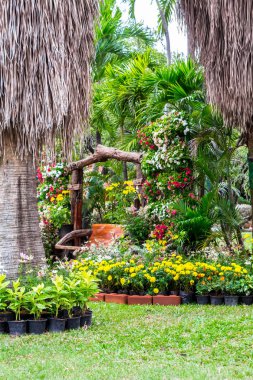 Rahat Çiçek bahçesinde ahşap sandalye.