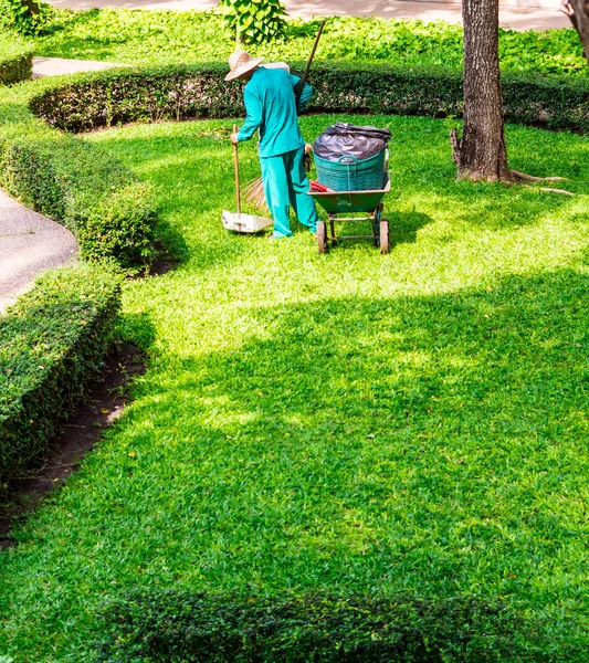 Giardiniere che lavora in giardino accogliente durante l'estate . — Foto Stock