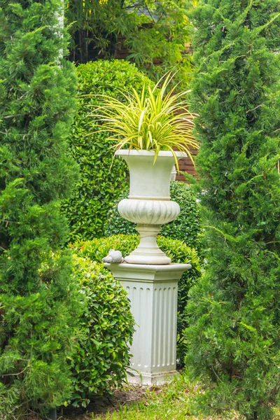 Gothic Flower Pot Garden Gothic Flower Pot Cozy Garden Summer — Stock Photo, Image