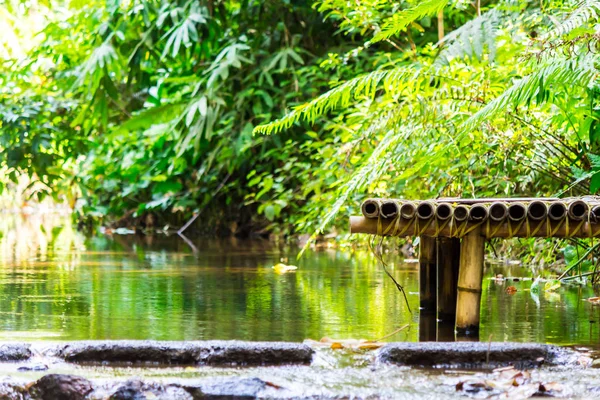 Bamboo litter stream in rain forest./ Relaxing bamboo litter stream in rain forest on summer.