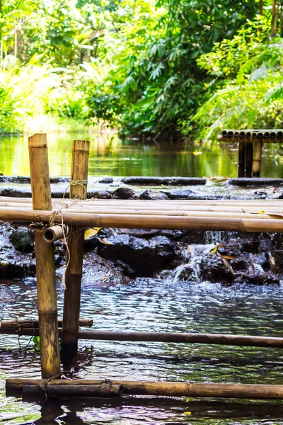 Bamboo litter stream in rain forest./ Relaxing bamboo litter stream in rain forest on summer.