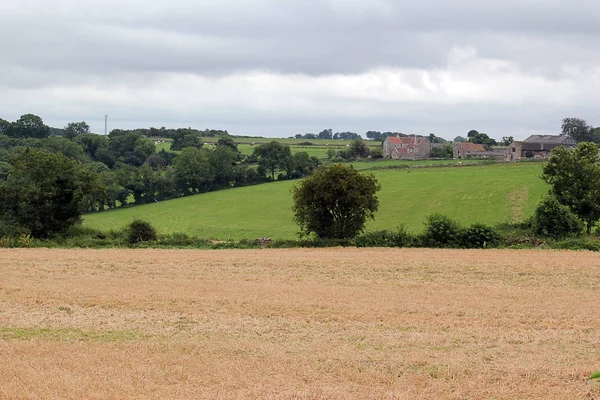 Große Landwirtschaftliche Felder Gegen Den Grauen Himmel — Stockfoto