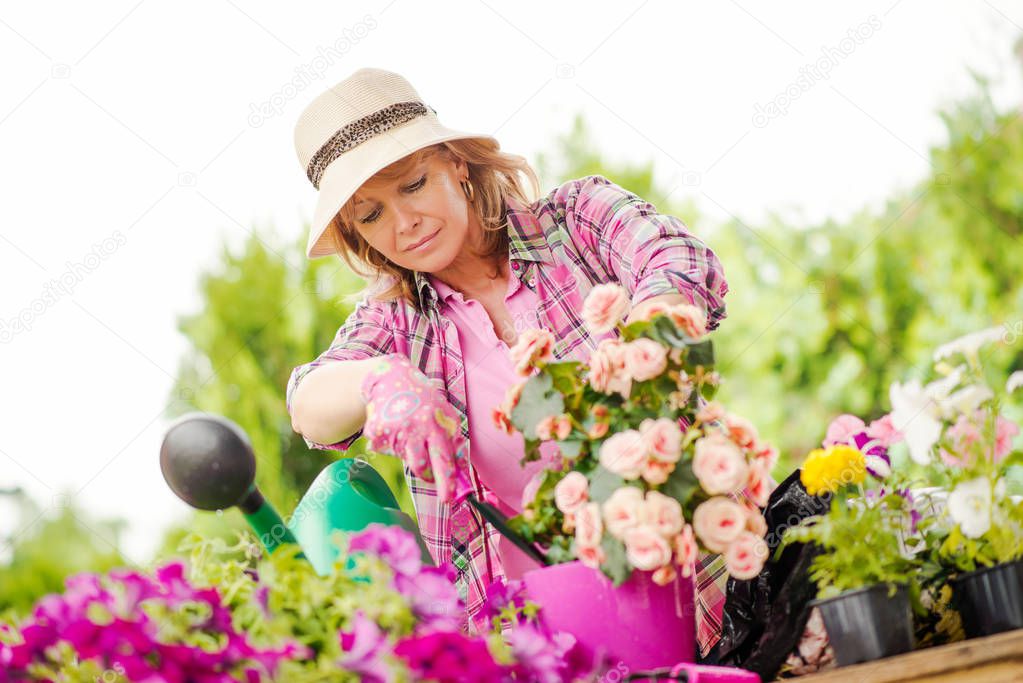 Gardener taking care of her plants in a garden
