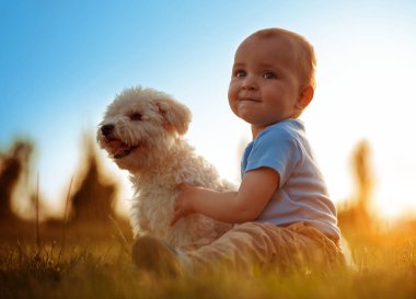 Köpeğiyle oynayan mutlu çocuk