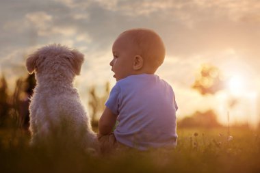 Erkek bebek ve onun köpek zevk doğada
