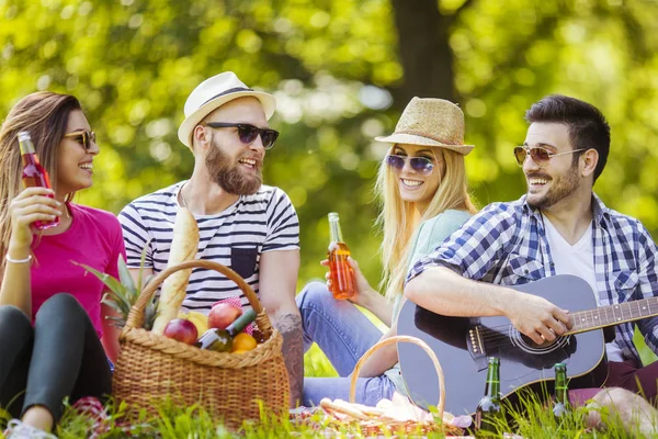 Happy mladí přátelé mají piknik v parku — Stock fotografie
