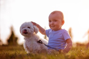açık havada köpeğiyle oynayan çocuk