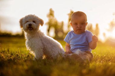 Küçük çocuk parkta köpeğiyle oynuyor.