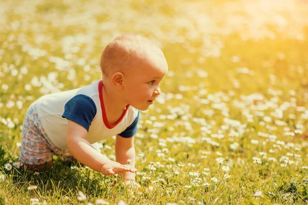 Crawling baby in the park — Stock Photo, Image