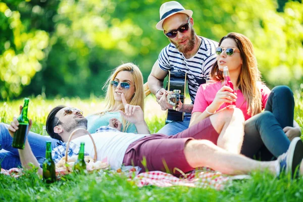 Grupo de amigos haciendo picnic en el parque —  Fotos de Stock