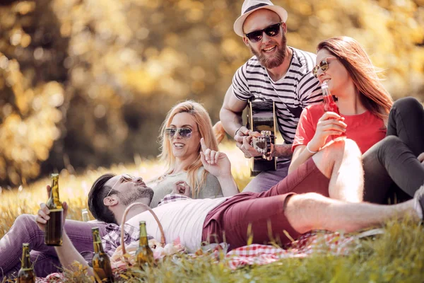 Grupo de amigos haciendo picnic en el parque —  Fotos de Stock