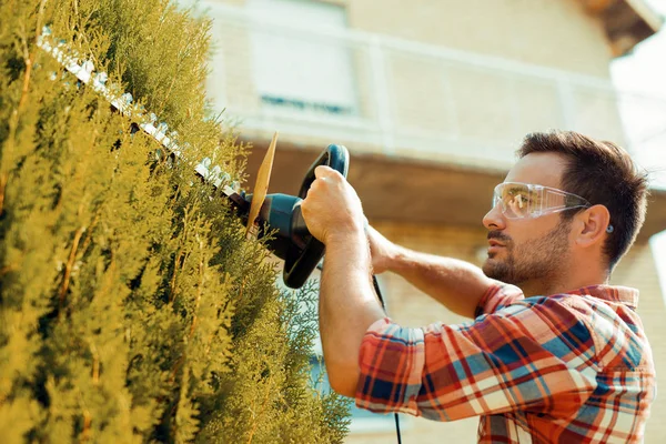 Hedge trimmen, werken in een tuin — Stockfoto
