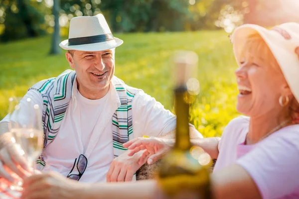 Koppel in park op picknick — Stockfoto