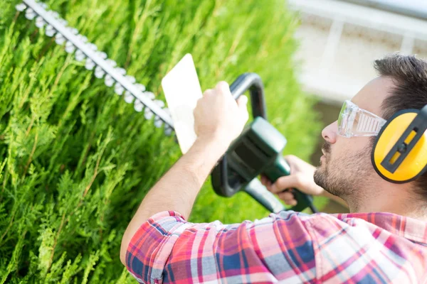 Hedge trimmen, werken in een tuin — Stockfoto