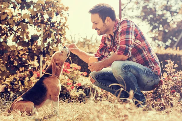 Best friends enjoying time together — Stock Photo, Image